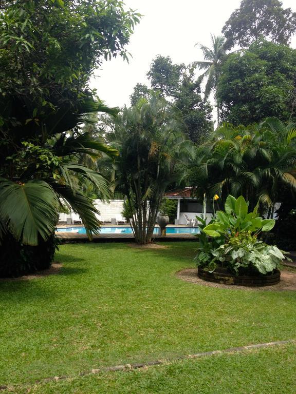 Fire Dragon Hideaway Hotel เนกอมโบ ภายนอก รูปภาพ