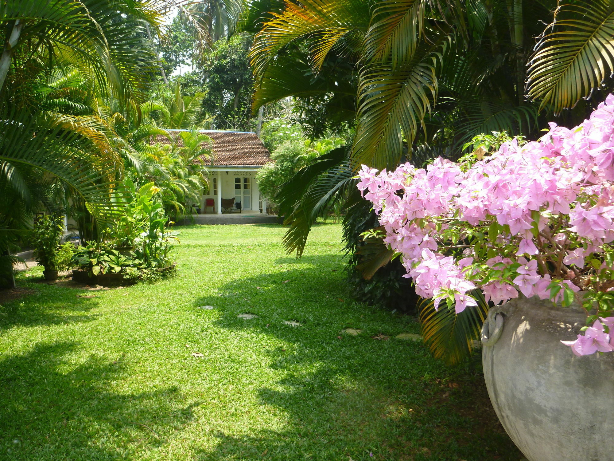Fire Dragon Hideaway Hotel เนกอมโบ ภายนอก รูปภาพ
