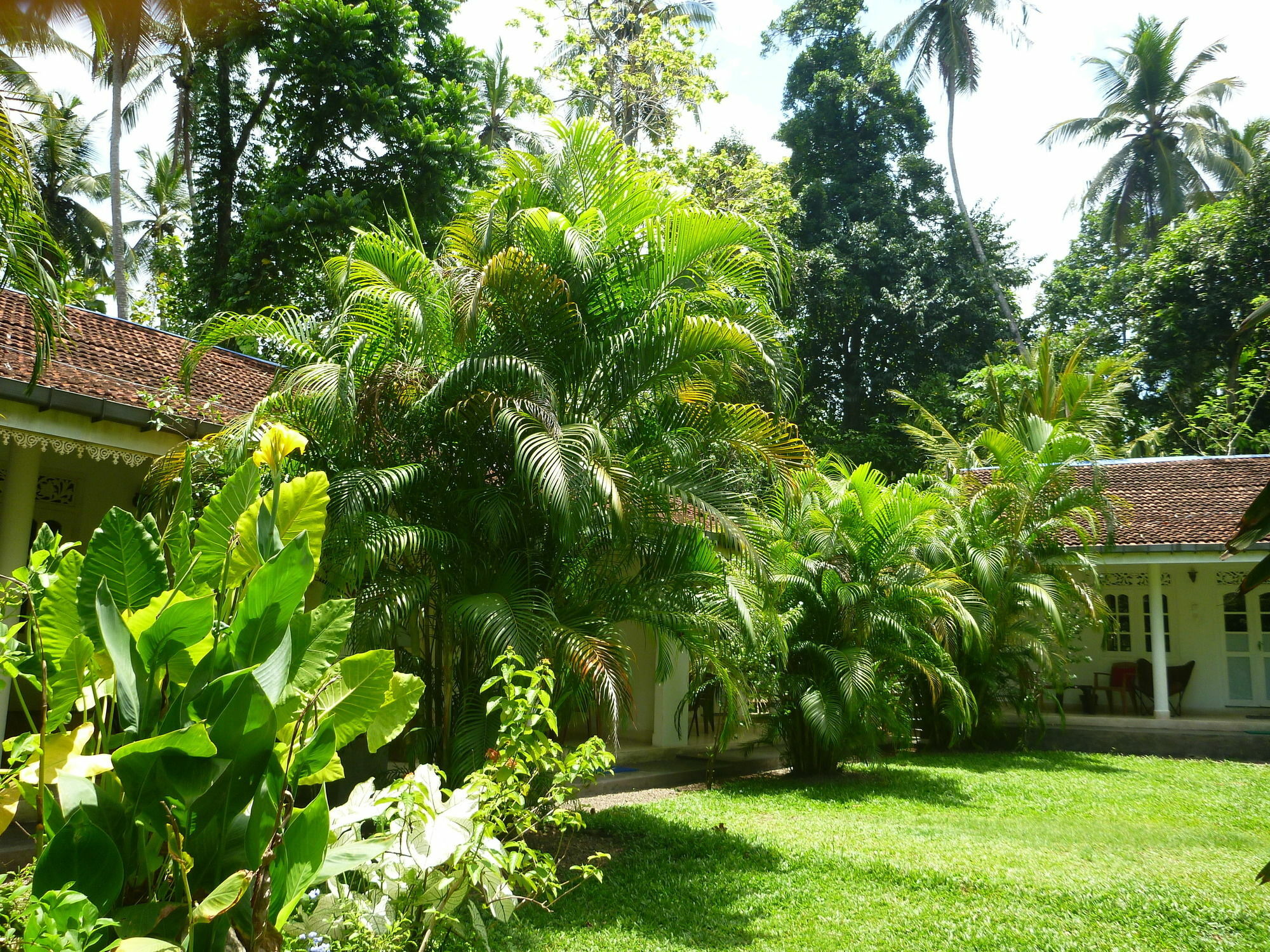Fire Dragon Hideaway Hotel เนกอมโบ ภายนอก รูปภาพ